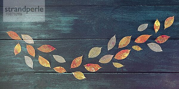Ein Panoramahintergrund mit Herbstblättern auf einer dunkelblauen Holztextur  eine Designvorlage mit Platz für Text  getöntes Bild