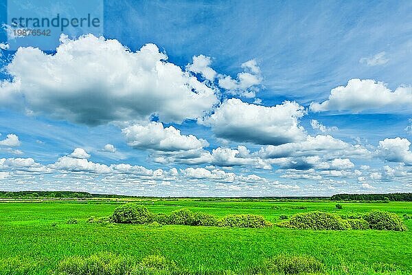 Blick auf grünes Feld und Schönheit bewölkten Himmel