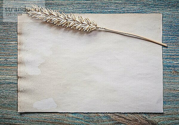 Weizenähre Jahrgang Blatt Papier auf Holzbrett Draufsicht