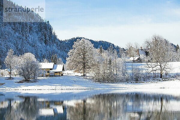 Idyllische Winterlandschaft: Spiegelung See  Haus und verschneite Bäume und Berge
