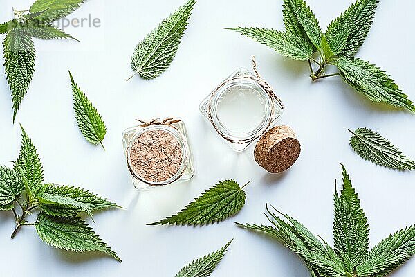 Brennnesselöl und frische Brennnesselblätter (Urtica dioica) flat lay auf weißem Hintergrund