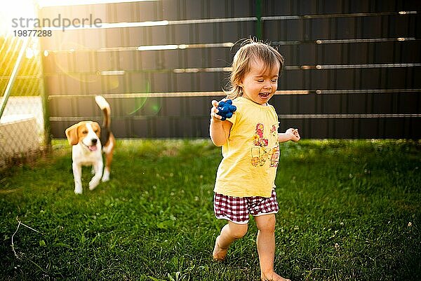 Baby Mädchen läuft mit Beagle Hund im Garten im Sommer Tag. Haustier mit Kindern Konzept