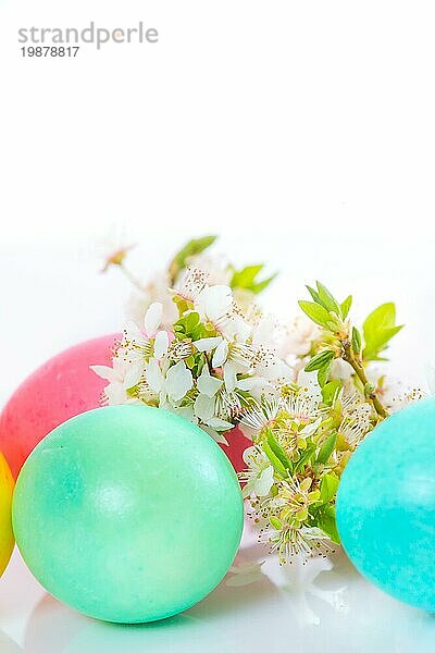 Ostern bunte Eier auf weißem Hintergrund mit Blume Zweig Großaufnahme  Kopie Raum