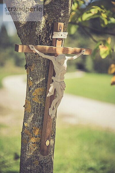 Kruzifix auf einem Baum  im Freien  Jesus Christus