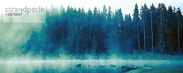 Kiefer Bäume Wald stilisierte Silhouette Foto Banner Hintergrund mit See und Nebel