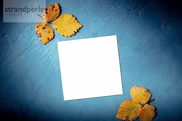 Herbstlicher Hintergrund mit Copy Space. Eine quadratische Karte mit Herbstblättern  von oben auf einem blaün Hintergrund aufgenommen