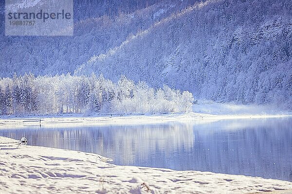 Idyllische Winterlandschaft: Spiegelnder See  verschneite Bäume und Berge