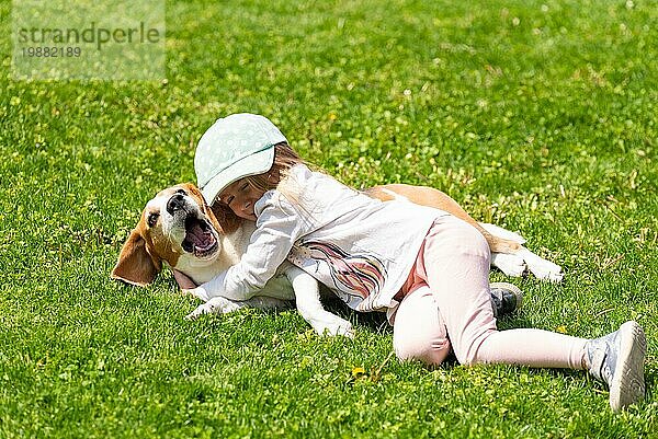 Glückliches kleines Mädchen spielt mit Beagle Hund im Garten. Vierjähriges Mädchen an einem sonnigen Sommertag mit einem Beagle auf einem grünen Rasen