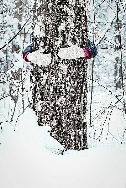 Bäume umarmen im Winterwald  Einheit mit der Natur