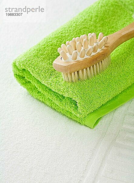 Pinsel auf grünem Handtuch
