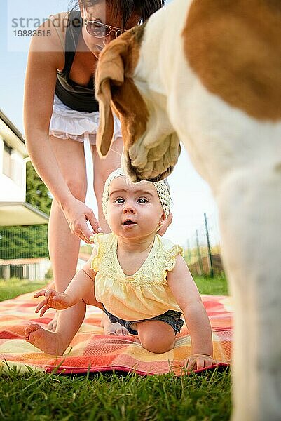 Portrait junge Mutter mit niedlichen Baby Mädchen in gelben Band und Kleid und Beagle Hund  Sunny Sommertag im Freien. Mutterschaft Konzept