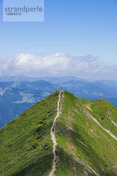 Wanderweg vom Fellhorn  2038m  zum Söllereck  Allgäuer Alpen  Bayern  Deutschland  Europa