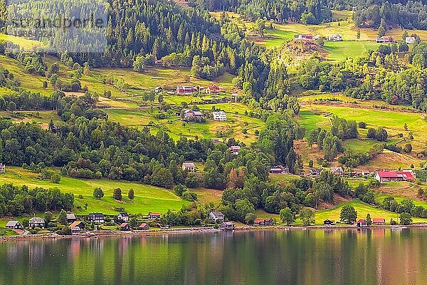 Norwegische Dorflandschaft  grüne Waldberge und bunte Häuser und Fjordwasser  Norwegen  Europa