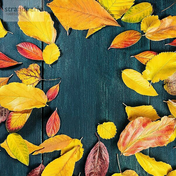 Herbstlicher Hintergrund mit leuchtenden Herbstblättern  eine Designvorlage für einen Flyer  eine Einladung oder eine Geschenkkarte mit Kopierraum