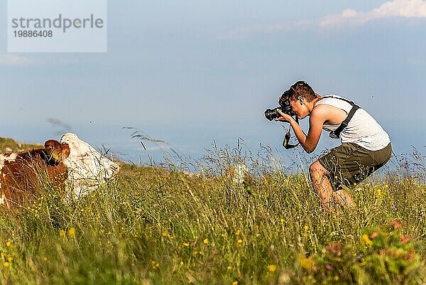 Junger Mann beim Fotografieren einer Kuh in der Natur. Auf dem Schockl in der Nähe von Graz in der Steiermark. Touristen und Wanderziel  Schockl  Steiermark  Österreich  Europa