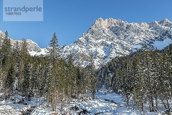 Schöne idyllische Winterlandschaft: atemberaubende Bergkette  verschneite Bäume und blaür Himmel