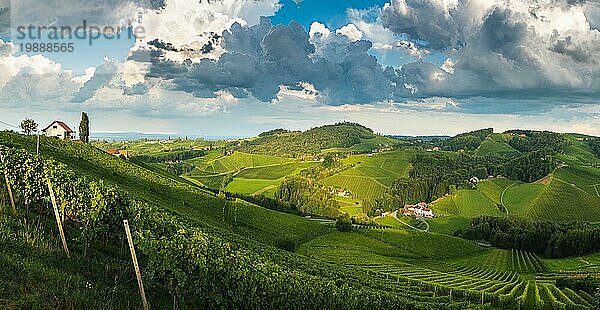 Weinberg Panorama auf einer österreichischen Landschaft  steirische Toskana. Weinstraße durch den Süden. Stürmisches Sommerwetter