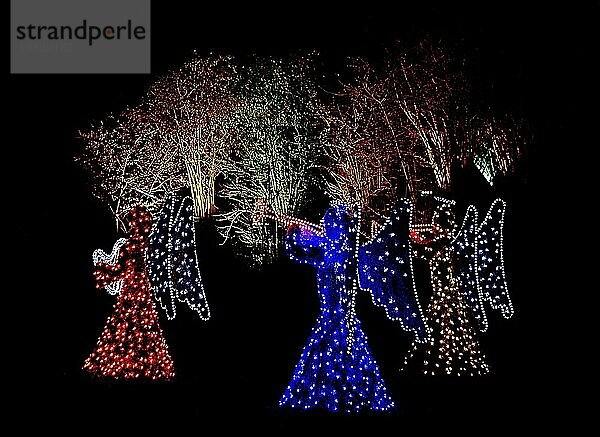 Weihnachtsbeleuchtung im Freien mit drei Engeln  die Musikinstrumente spielen