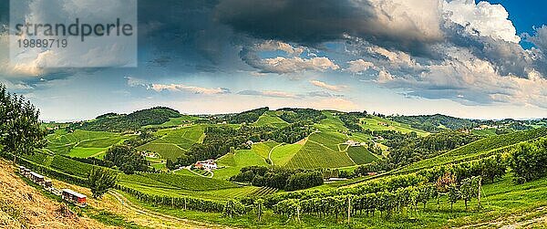 Weinberg Panorama auf einer österreichischen Landschaft  steirische Toskana. Weinstraße durch den Süden. Stürmisches Sommerwetter