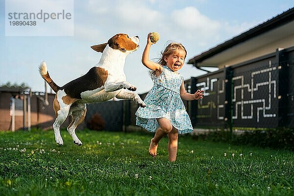 Adorable Baby Mädchen läuft zusammen mit Beagle Hund im Hinterhof am Sommertag. Haustier mit Kindern Konzept
