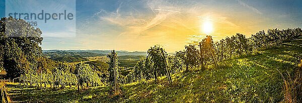 Landschaftspanorama eines Weinbergs auf einem österreichischen Weingut in Kitzeck im Sausal Leibnitz. Touristisches Ziel