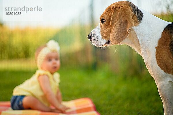 Junges Mädchen mit einem Beagle Hund im Freien. Familie Haustier Konzept