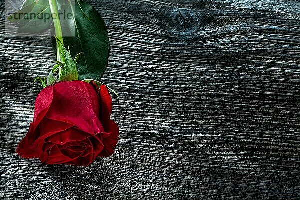 Natürliche rote Rose auf Holzbrett