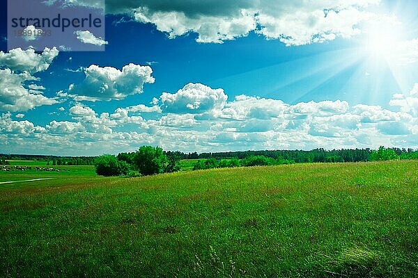 Grünes Feld mit schönem blauem Himmel und Sonne
