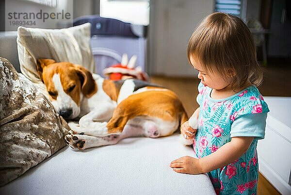 Kleines Baby Mädchen mit Beagle Hund liegt auf dem Sofa zu Hause. Konzept Hintergrund