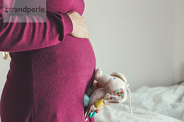 Nahaufnahme einer jungen Mutter  die ein Plüschtier auf ihrem schwangeren Bauch hält  Kaukasierin  magentafarbenes Kleid