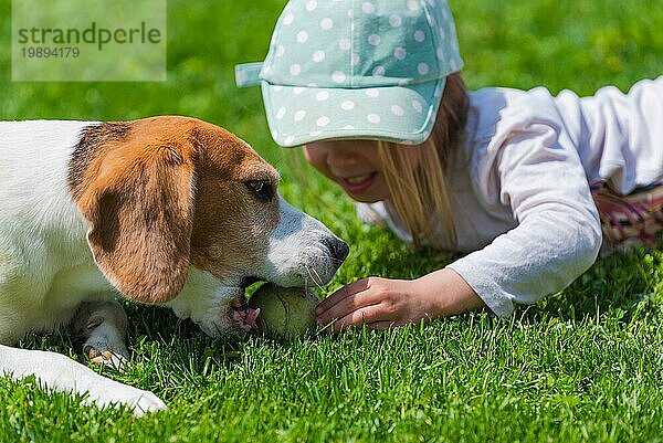 Glückliches kleines Mädchen spielt mit Beagle Hund im Garten. Vierjähriges Mädchen an einem sonnigen Sommertag mit einem Beagle auf einem grünen Rasen