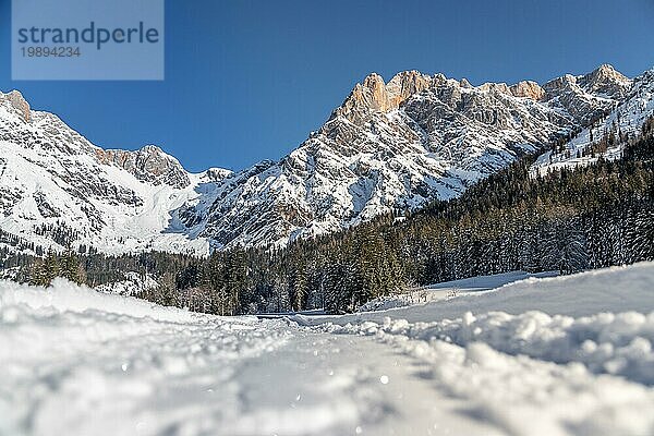Schöne idyllische Winterlandschaft mit Wanderweg  atemberaubender Bergkette  verschneiten Bäumen und blauem Himmel