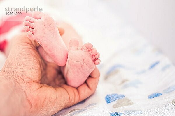 Kleiner neugeborener rosa Fuß von Vaterhand gehalten. Kopierbereich rechts Selectuve Fokus auf Zehen