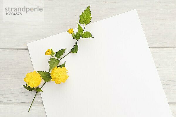 Blank weißes Papier  gelbe Blume Zweig auf Holztisch. Frühlingshafter Hintergrund. Mock up Kopierraum Draufsicht