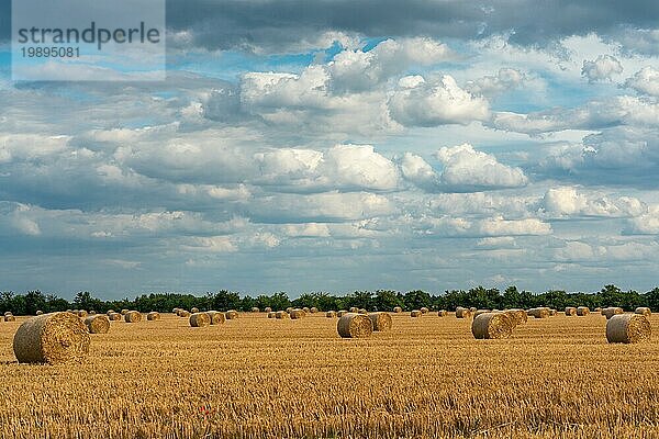 Fröhliche Herbstszene mit runden Strohballen auf einem gemähten Getreidefeld bei strahlendem Sonnenschein mit eindrucksvollen Wolken am Himmel