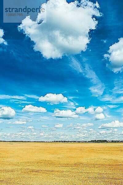 Schöne Weizenfeld und bewölkten Himmel Blick aus der Höhe