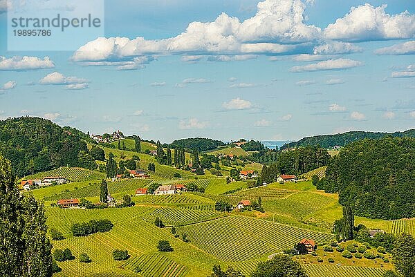 Schöne Landschaft der österreichischen Weinberge in der Südsteiermark. Berühmter Ort wie die Toskana zu besuchen. Landschaftliche Ansicht des idyllischen Reiseziels