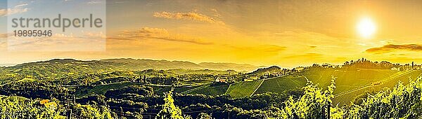 Sonniges Panorama von Traubenhügeln auf Weinbergen im Süden Österreichs. Lebendiger Kontrast hohe Auflösung Landschaft