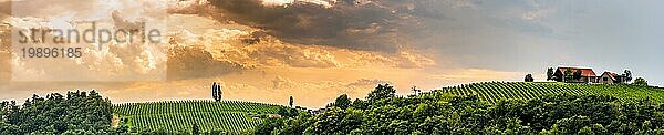 Weinberge Panorama Leibnitz Gebiet berühmtes Ziel Weinland  Südsteiermark  Österreich. Touristisches Ziel. Grüne Hügel mit Weinreben und Berge
