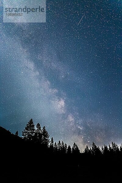 Klare Milchstraße bei Nacht  Silhouetten von Bäumen