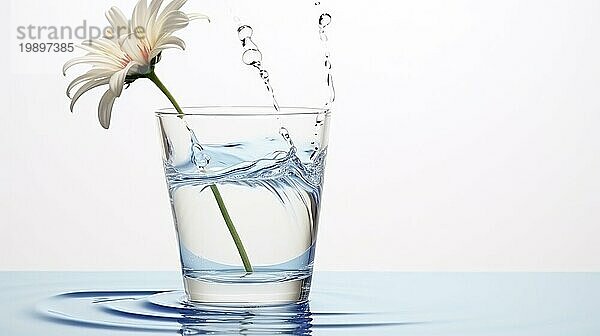 Glas Wasser und Gänseblümchen auf weißem Hintergrund. Selektiver Fokus AI erzeugt  KI generiert