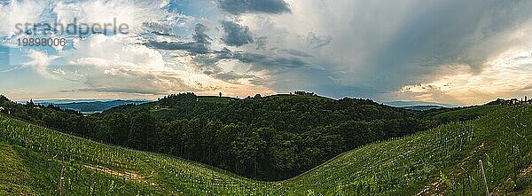 Weinberge Panorama Leibnitz Gebiet berühmtes Ziel Weinland  Südsteiermark  Österreich. Touristisches Ziel. Grüne Hügel mit Weinreben und Berge