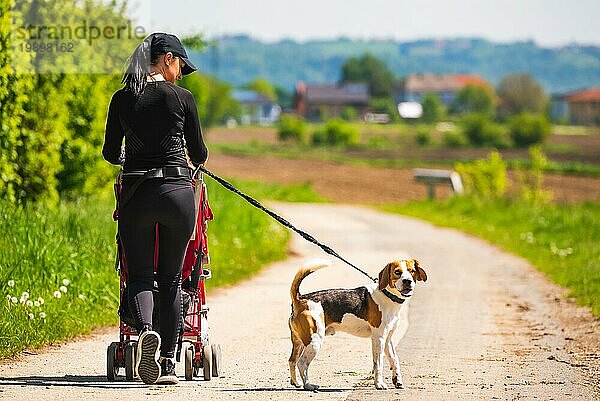Frau zu Fuß mit Kinderwagen und Hund im Freien in der Natur auf einer Landstraße Sonniger Tag auf dem Lande mit Kind und Beagle Hund