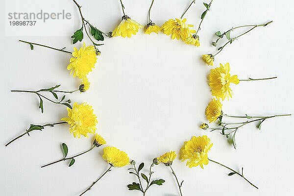 Gelbe Blumen runden Rahmen auf weißem Hintergrund  Chrysantheme Blumenkranz  Kopie Raum