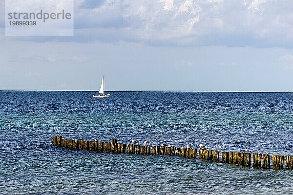 Schöner Blick auf die Ostsee mit Möwen auf Unes und Segelboot