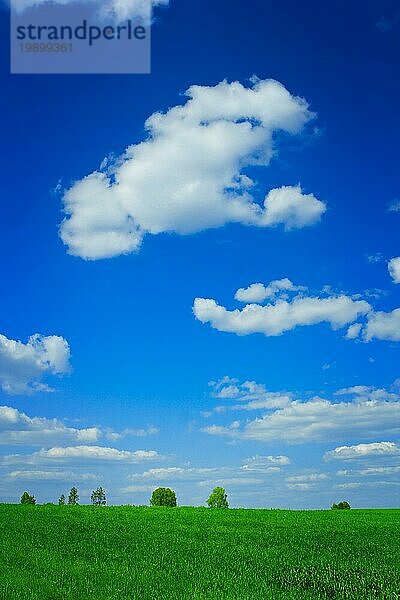 Wolkenlandschaft grün grau blau Himmel