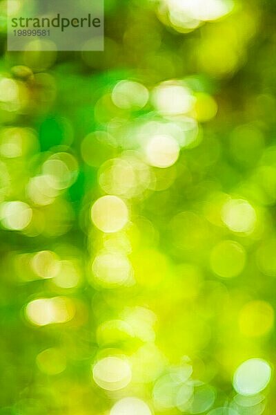 Leuchtend grünes sommerliches Bokeh