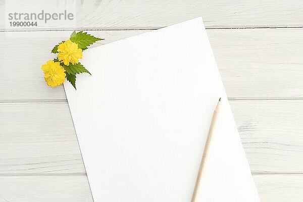 Blank weißes Papier  gelbe Blume Zweig und Bleistift auf Holztisch. Frühlingshafter Hintergrund. Mock up Kopierraum Draufsicht