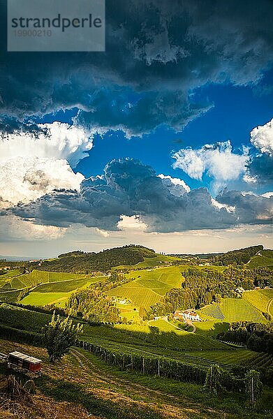 Weinberg in einer österreichischen Landschaft  steirische Toskana. Weinstraße durch den Süden