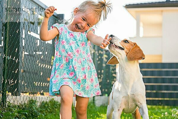 Baby Mädchen läuft mit Beagle Hund im Hinterhof im Sommer Tag. Haustier mit Kindern Konzept. Hund jagt 23 Jahre alt  läuft nach Leckerbissen